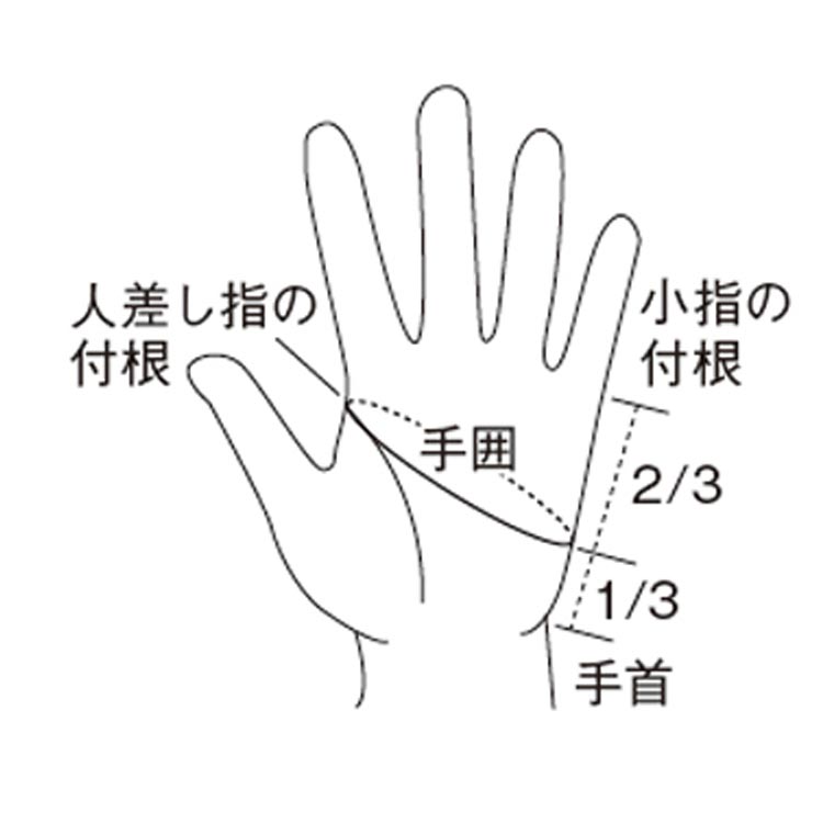 [ AQA ] KW-4479 遮熱UVグローブ |  | 02