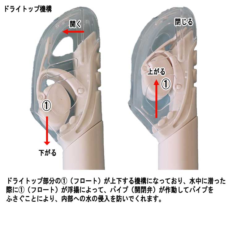 [ PRODIVE ] 一眼スノーケリング２点セット Snorkeling Set マスク スノーケル2点セット M3002+S210 |  | 01