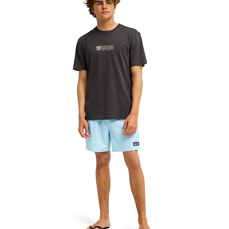 [ Quiksilver ] OPQS WANTED SS EQYZT08509 |  | 07