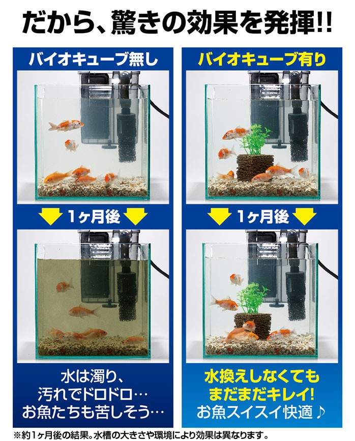 お魚天国バイオキューブ 水槽掃除 グッズ ろ過材 浄化装置 コケ 苔 取り 水草 水換え 不要 簡単 口コミ 効果  :sei164-1:美容と健康のミセルYahoo!店 - 通販 - Yahoo!ショッピング