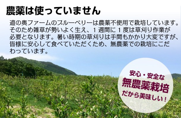 送料無料】冷凍ブルーベリー1ｋｇ（2Lサイズ）／岩手県遠野産、無農薬栽培 :btr1000:道の奥ファーム - 通販 - Yahoo!ショッピング