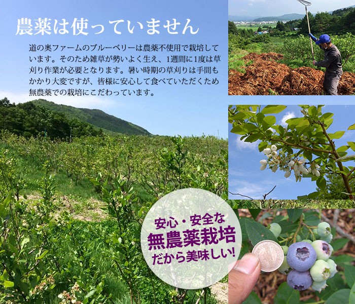 ＜農薬不使用＞無農薬で栽培したブルーベリーは遠野の大地の恵みをいっぱいに浴びてとっても大粒！食べ応えがあり、甘みと酸味がバランスよく詰まった果肉はクセになる美味しさです。農薬を使っていないから、お子様のおやつにもピッタリ！安心してお召し上がりいただけます。