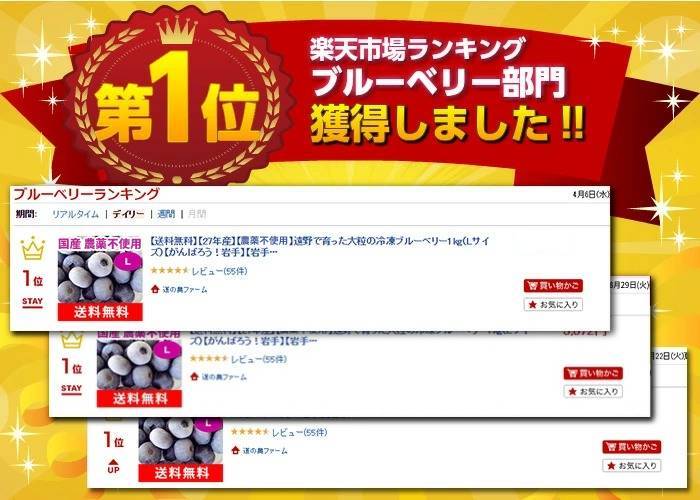 岩手県遠野市産 冷凍ブルーベリー 1kg