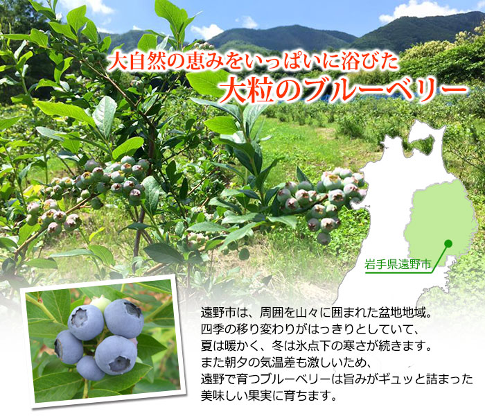 ブルーベリー生産者