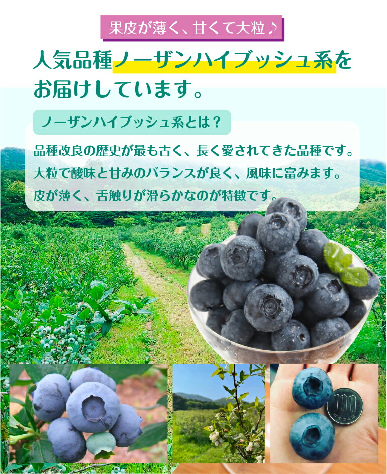 冷凍ブルーベリーのポイント
