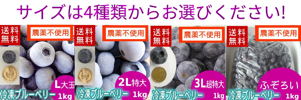 冷凍ブルーベリーのご案内