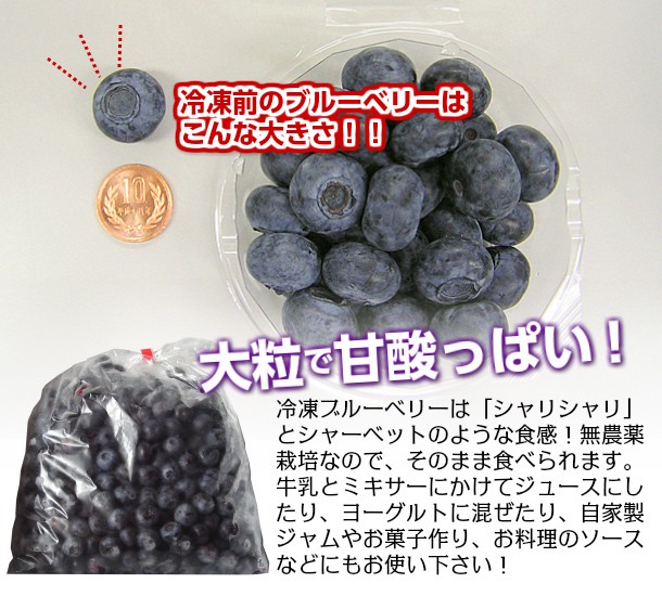 送料無料】冷凍ブルーベリー1ｋｇ（2Lサイズ）／岩手県遠野産、無農薬栽培 :btr1000:道の奥ファーム - 通販 - Yahoo!ショッピング