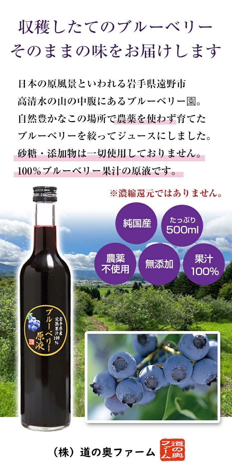 送料無料】ブルーベリー原液(500ml)2本セット 岩手県産 国産 無農薬 無