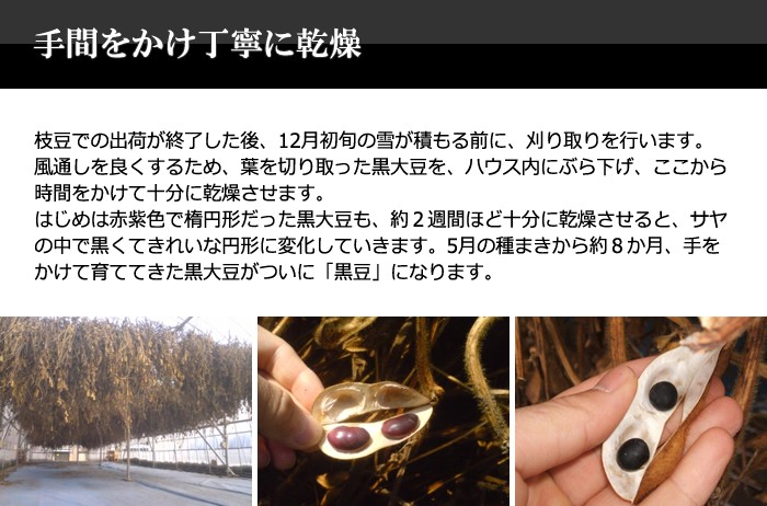 ＜手間をかけ丁寧に乾燥＞枝豆で出荷が終了した後、12月初旬の雪が積もる前に刈り取りを行います。