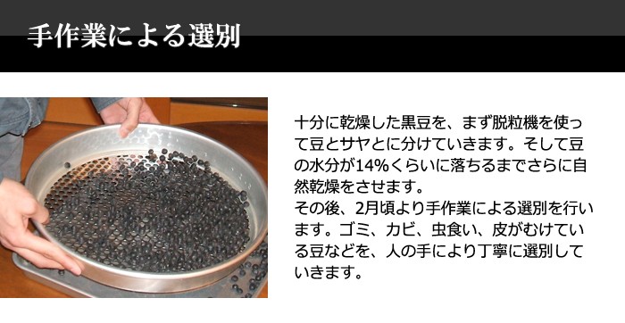 ＜手作業による選別＞十分に乾燥した黒豆を機械を使って豆とサヤとに分けた後、手作業で選別を行っています。