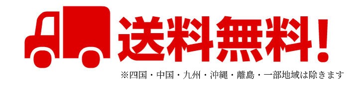 送料無料※四国/中国/九州/沖縄/離島/一部地域は送料無料の適応外