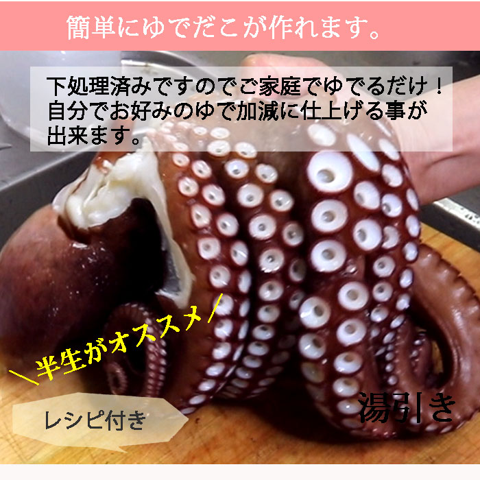 活き締め真たこ 1.5kg 生  レシピ付き 瀬戸内海産  蛸 タコ 刺身 たこさし