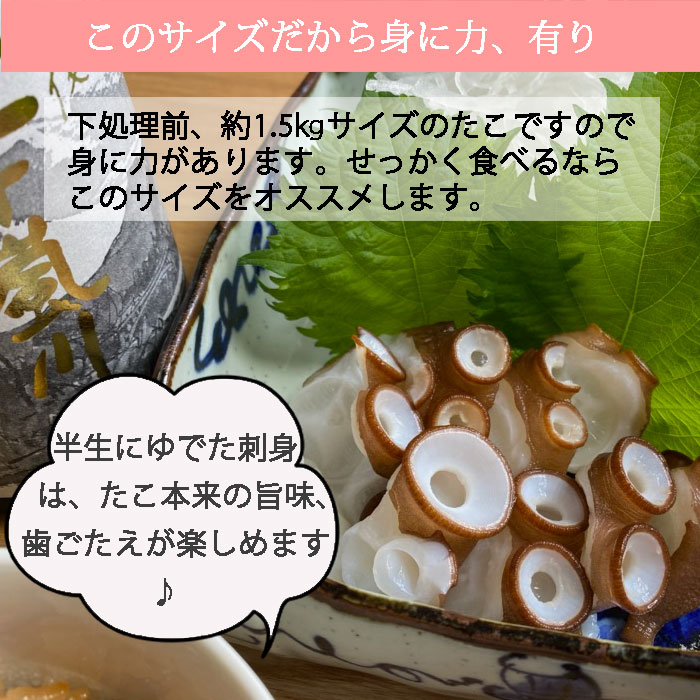活き締め真たこ 1.5kg 生  レシピ付き 瀬戸内海産  蛸 タコ 刺身 たこさし