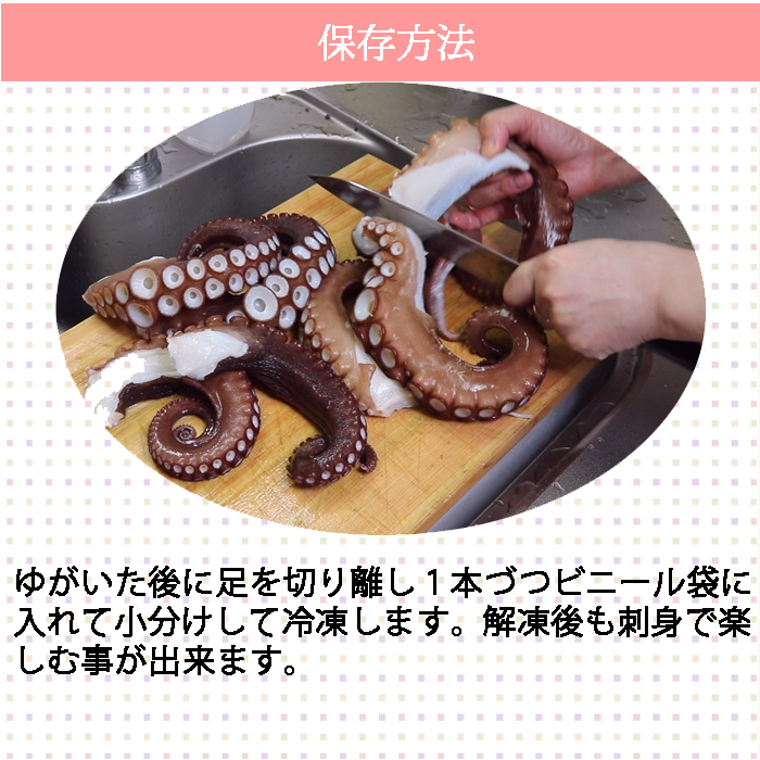 活き締め真たこ 1.5kg 生  レシピ付き 瀬戸内海産  蛸 タコ 刺身 たこさし