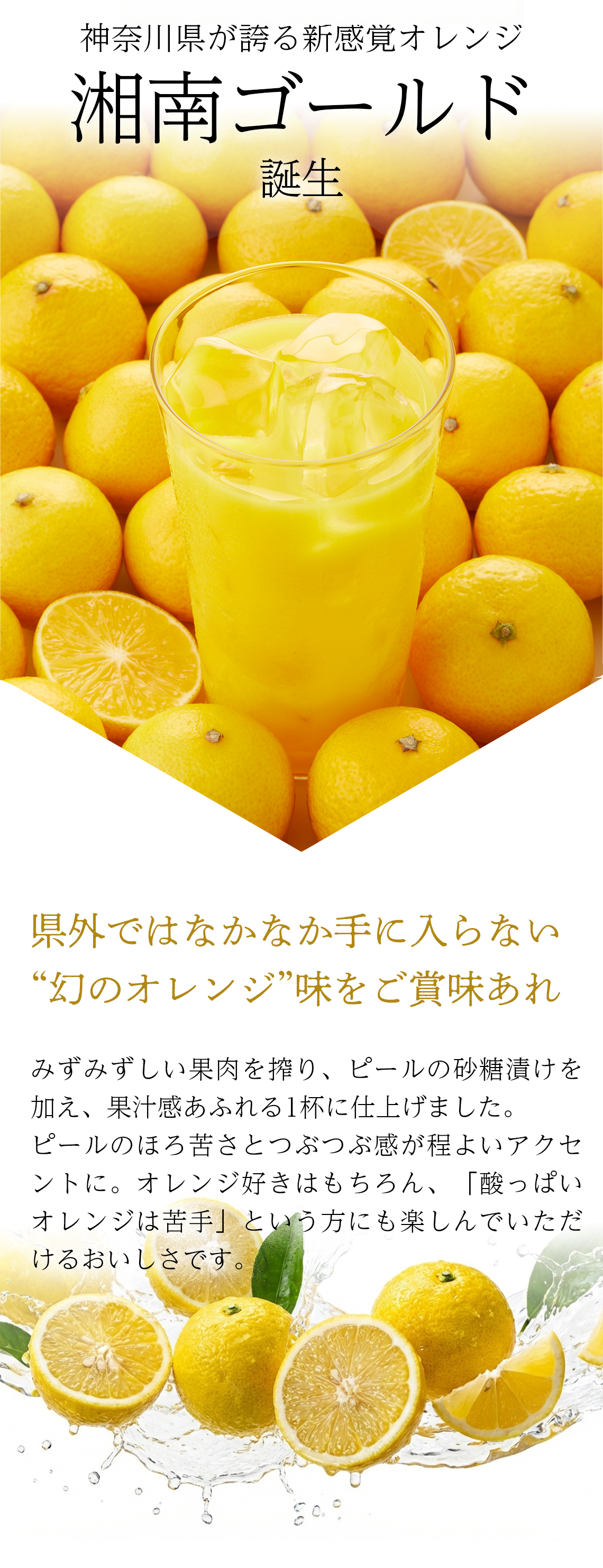 サニーヘルス 【限定生産】マイクロダイエット 湘南ゴールド(7食