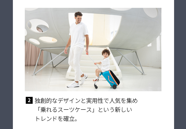 Micro Scooter マイクロ ラゲッジイージー クッション お子様の安全に