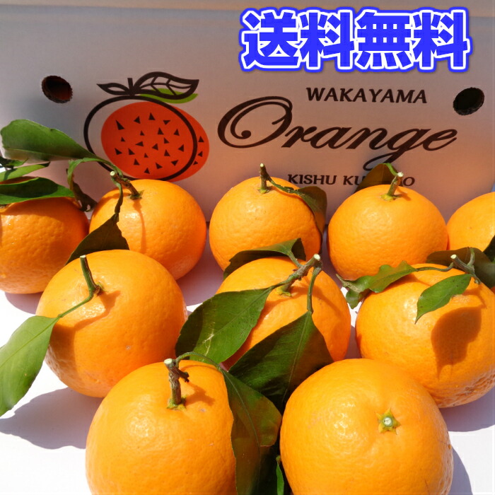 商品画像3
