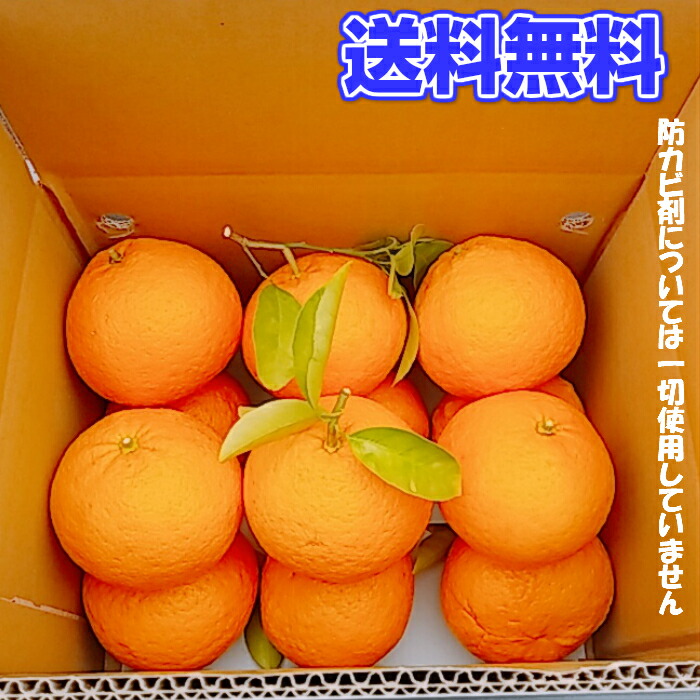 商品画像3