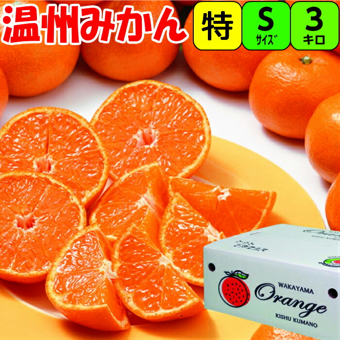 特選】木熟 葉付きみかん Sサイズ 3キロ 送料無料紀州 和歌山 紀南