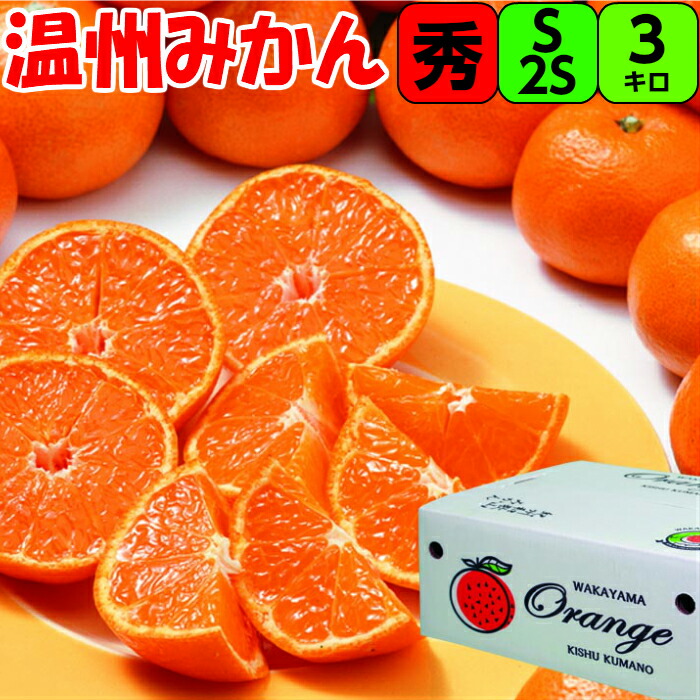紀州 【秀品】葉付き 温州 みかん 2S/S サイズ 3kg 木熟 送料無料 濃厚