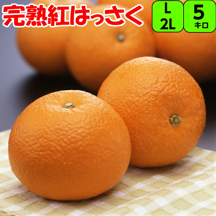 温州みかん 南柑20号 （なんかん20ごう）