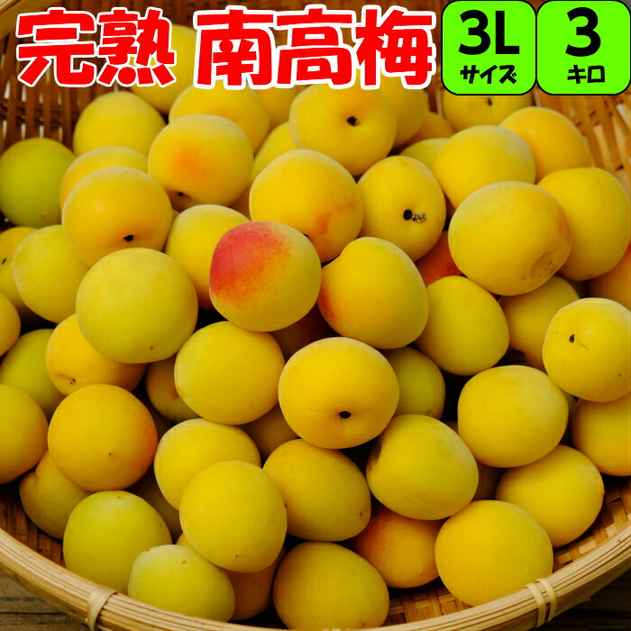 和歌山県産 紀州南高梅 【完熟梅】A級品 3Lサイズ 3kg 送料無料 産地