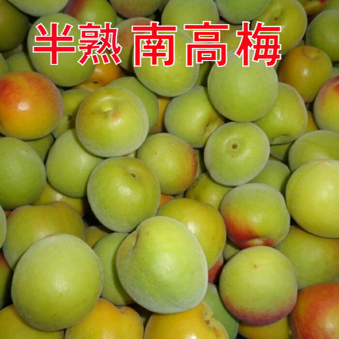 imgrc0123125507.jpg