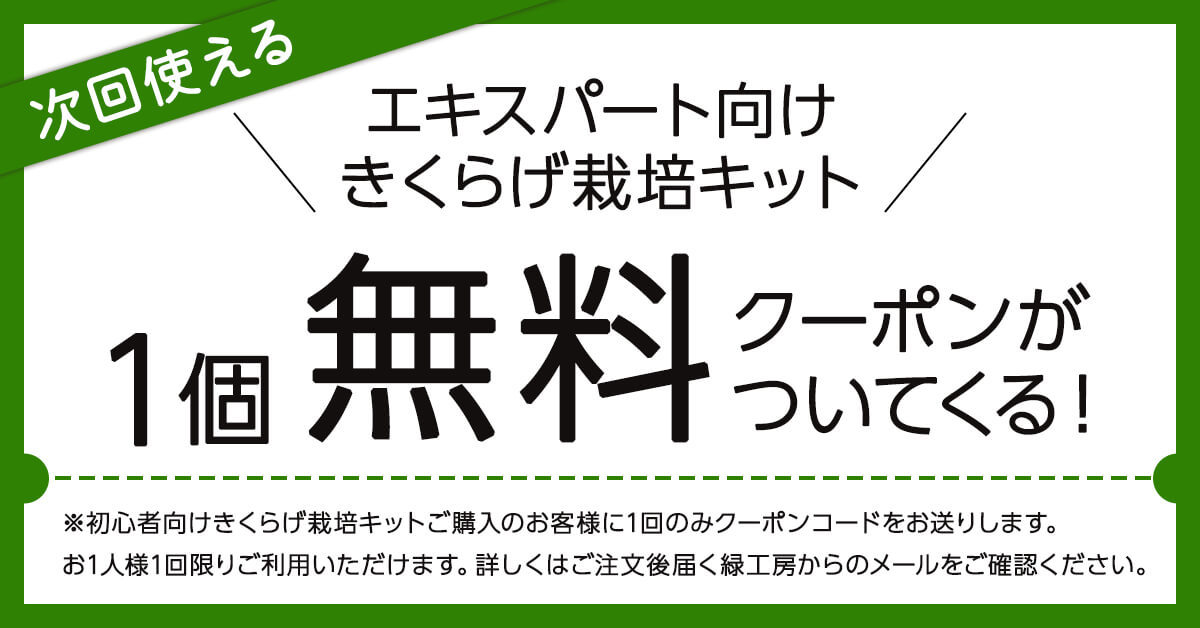 緑工房のおうちでかんたん！純国産きくらげ栽培キットを購入するとエキスパート向けきくらげ栽培キット1個無料クーポンがついてくる！