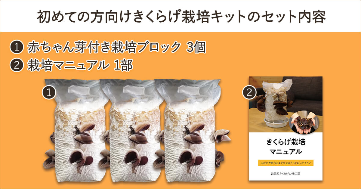 純国産きくらげ栽培キットのセット内容は赤ちゃん芽付き栽培ブロック3個と栽培説明書2枚です