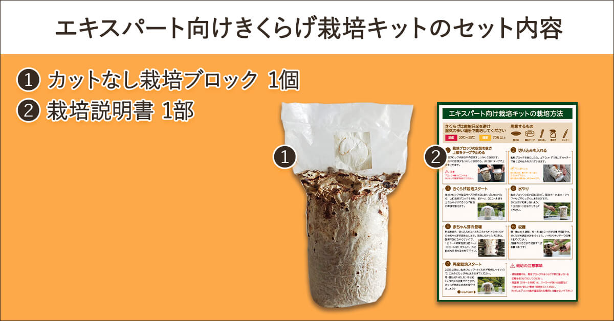 緑工房のエキスパート向け1からはじめるきくらげ栽培キットのセット内容はカットなし栽培ブロック1個と栽培説明書1枚です