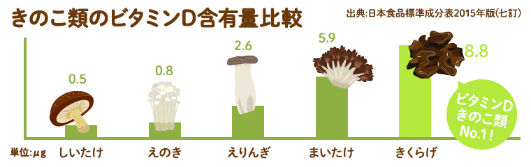 きのこ類のビタミンD含有量比較　きくらげはビタミンDきのこ類ナンバーワンの健康最強食材