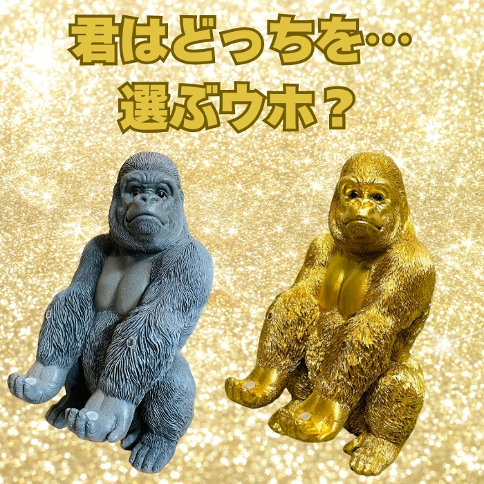 金ゴリラの説明