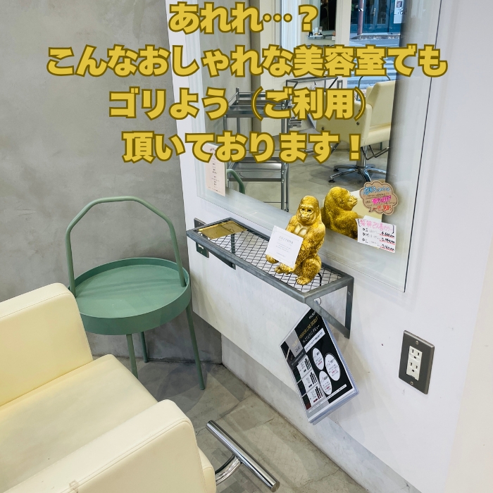 金ゴリラの説明