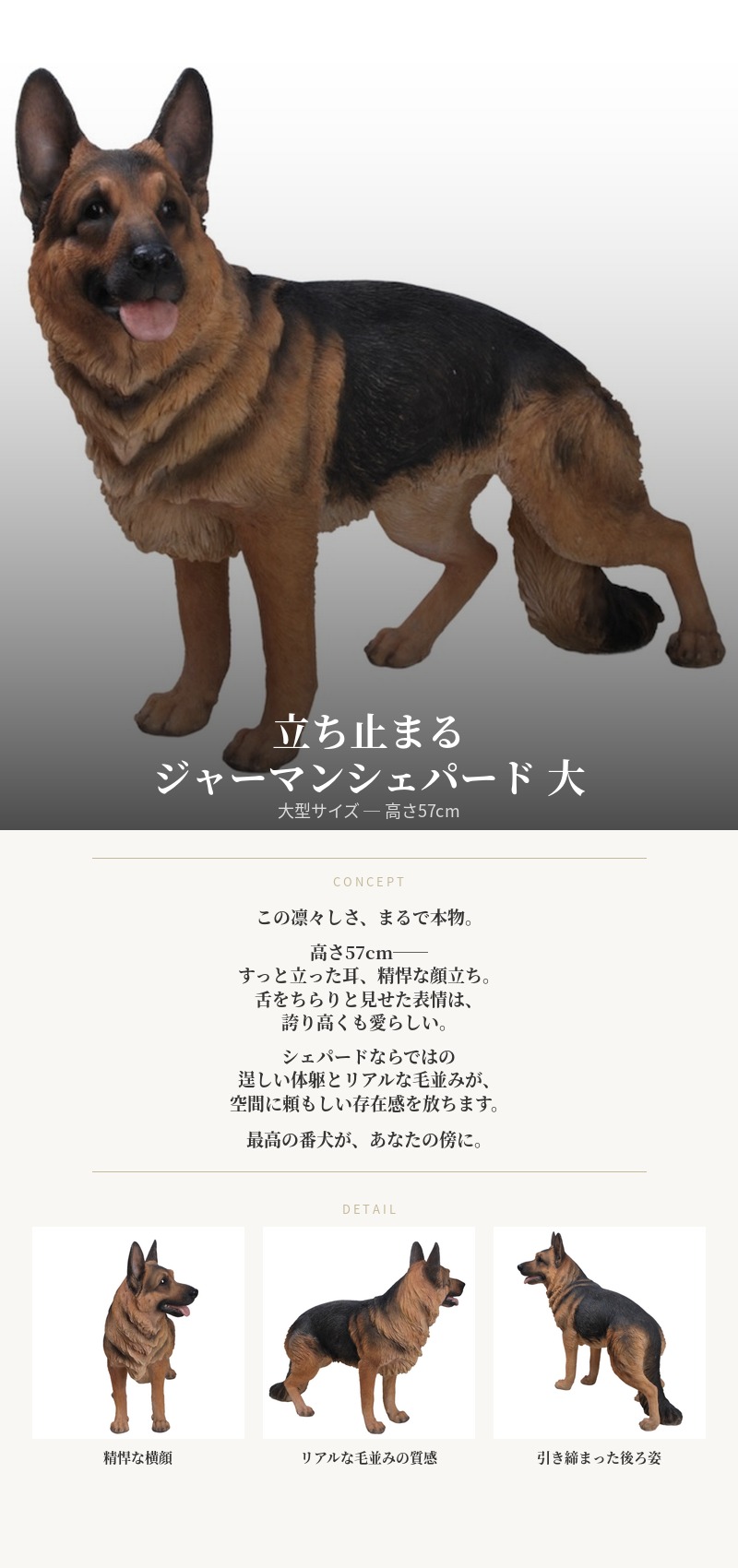 犬 置物 大型 動物 立ち止まる ジャーマンシェパード 大 横幅70cm 巨大