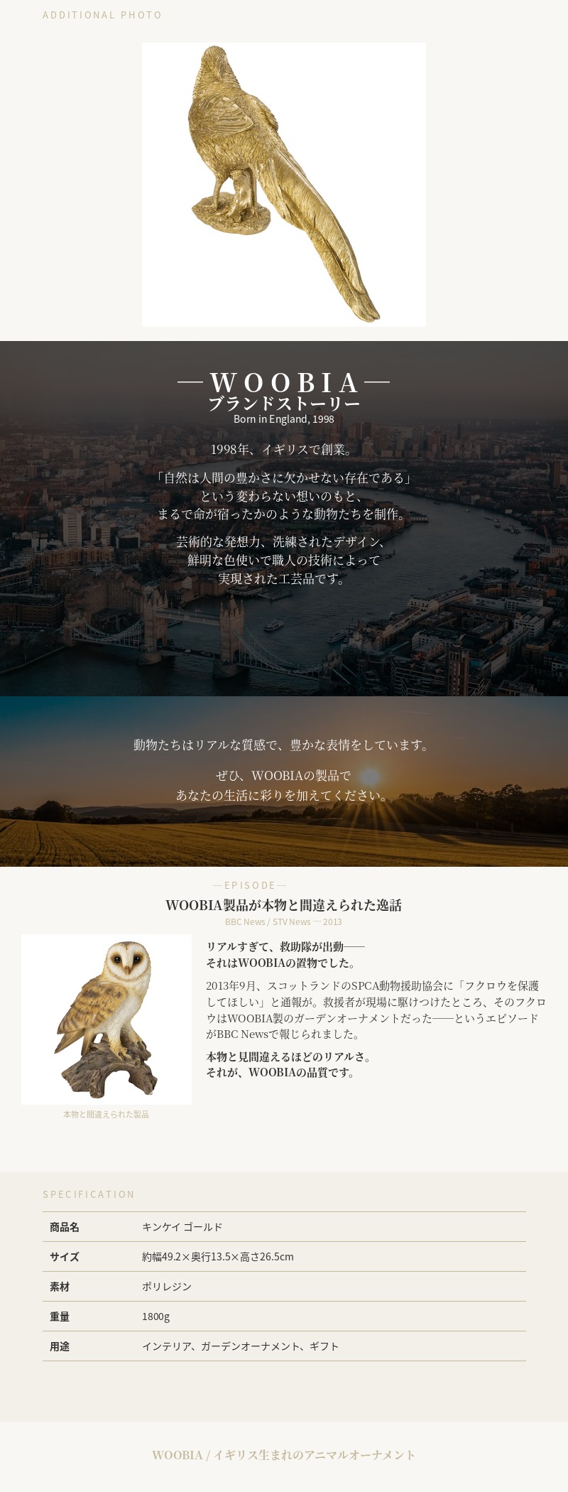 金鶏鳥　置物　くん製 希少 剥製 金鶏鳥 キンケイ 台座 標本 インテリア 置物 高さ 約68cm