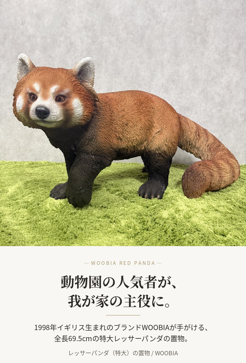 WOOBIA（ウービア） 置物 動物 レッサーパンダ 特大 横幅69.5cm 巨大