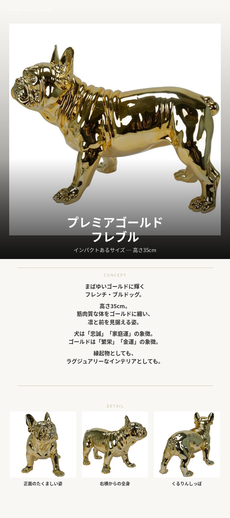 置物 犬 動物 プレミアゴールドのフレンチ・ブルドッグ 横幅49.3cm