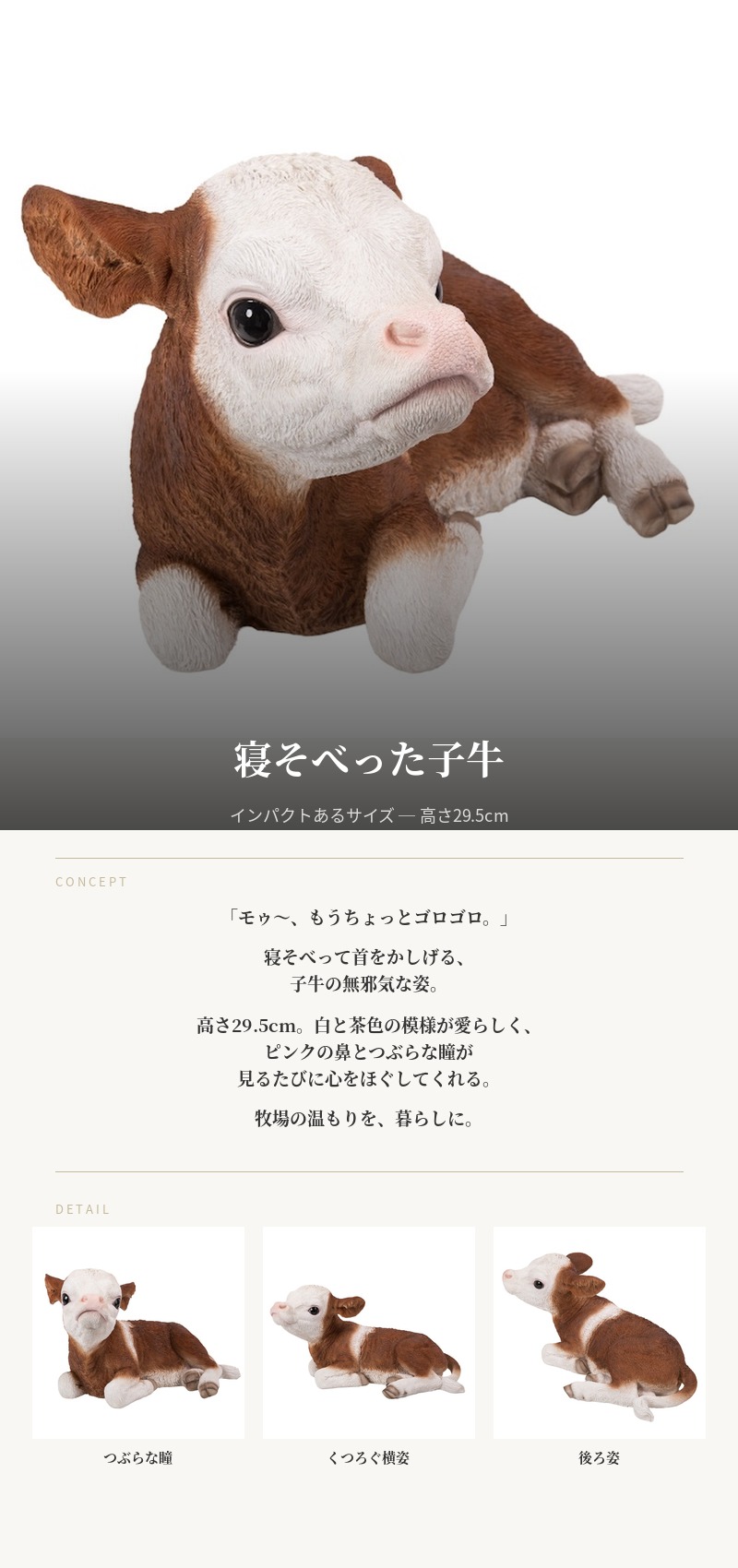 WOOBIA（ウービア） 置物 動物 寝そべった子牛 グッズ 横幅52.3cm