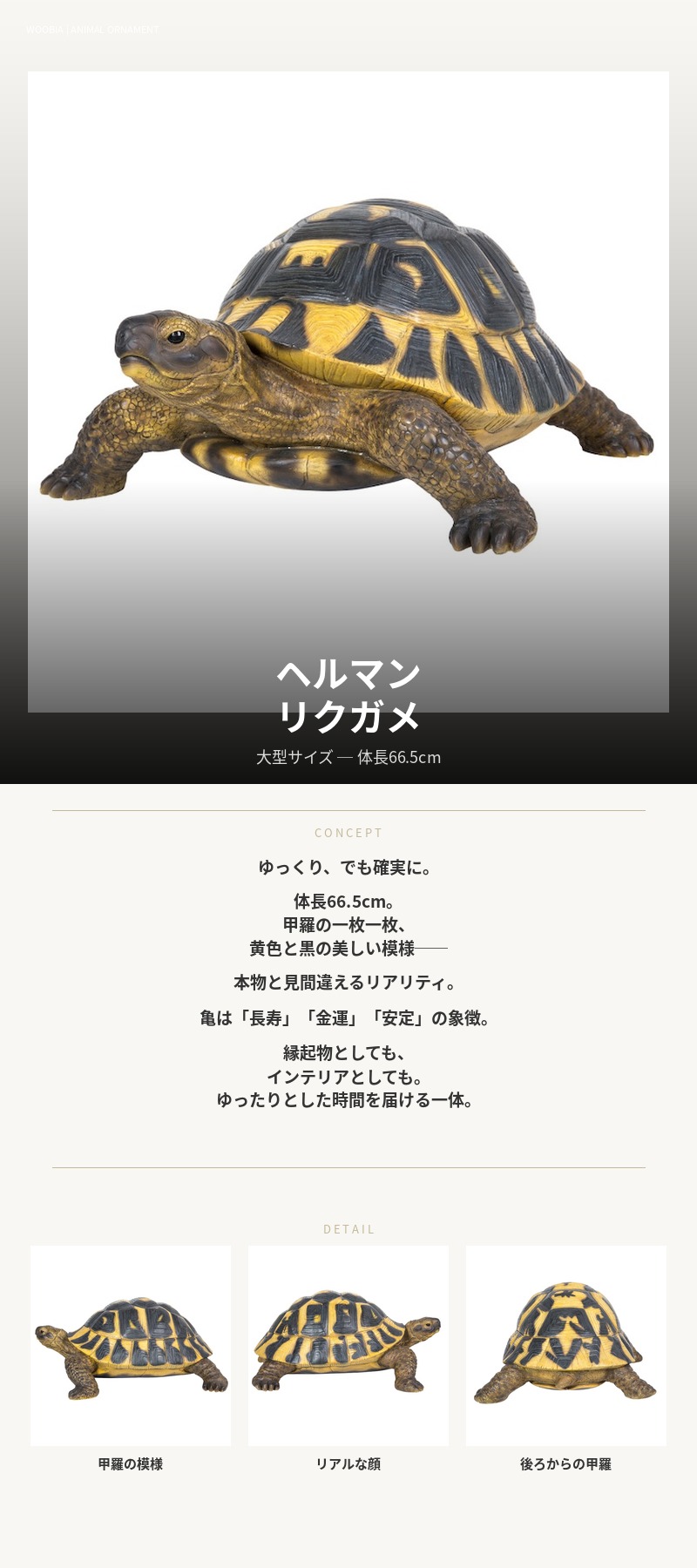 置物 動物 ヘルマンリクガメ 特大亀グッズ 横幅66.5cm woobia おしゃれ