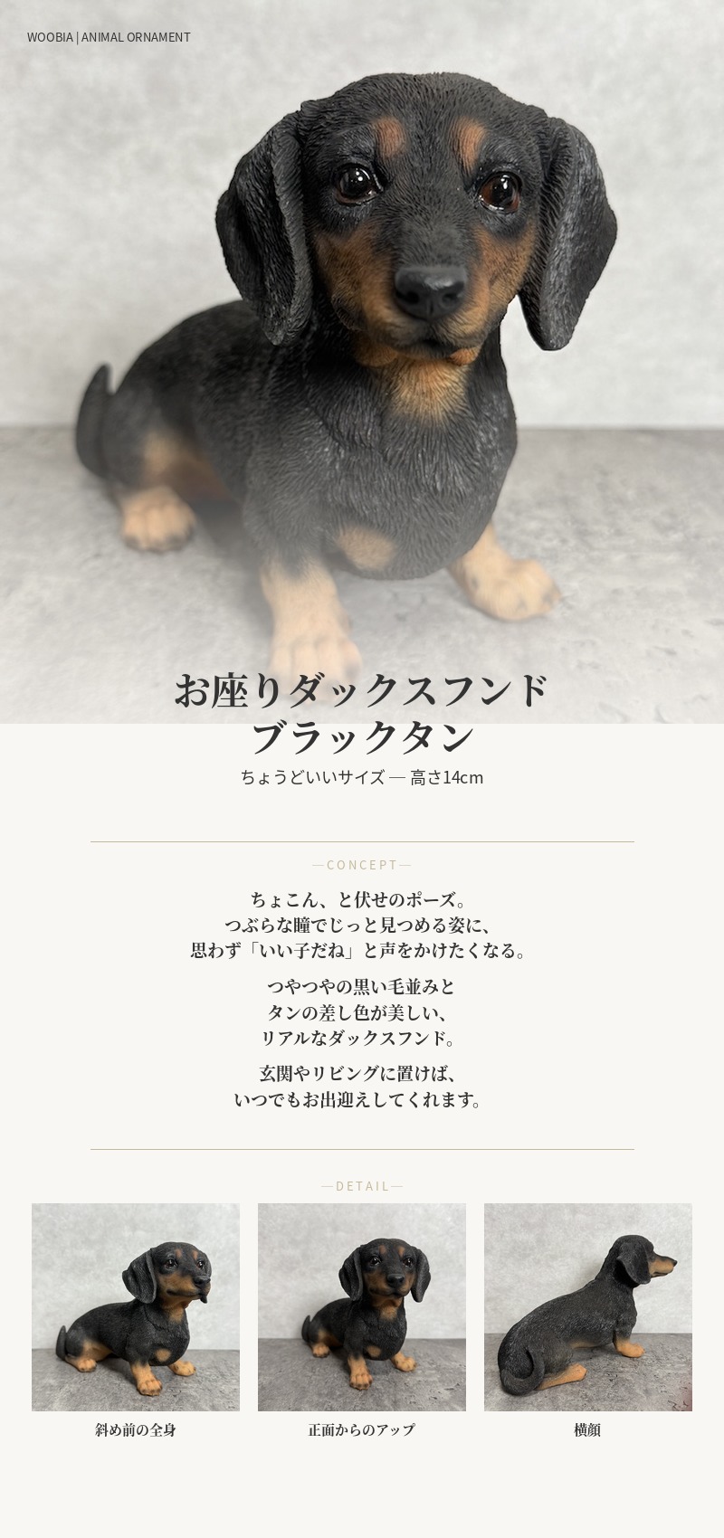 置物 犬 かわいい 横幅22.5cm 動物 玄関 お座りダックスフンド