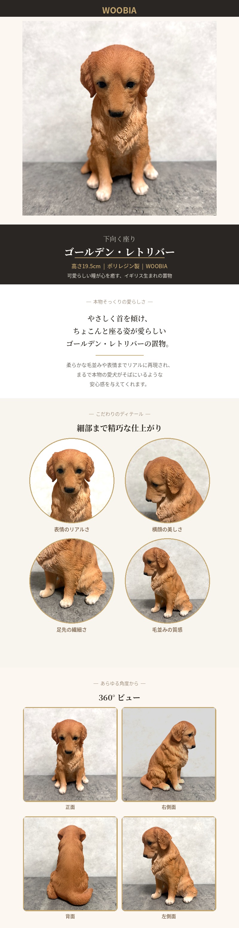 WOOBIA（ウービア） 置物 犬 動物 下向く座りゴールデンレトリバー 高