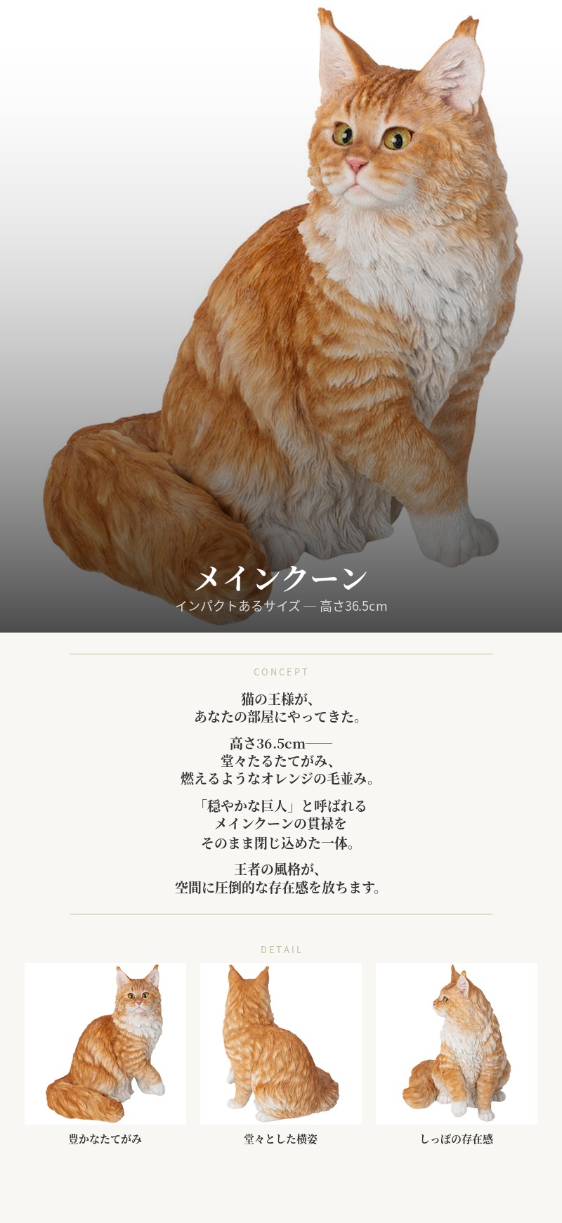 WOOBIA（ウービア） 置物 猫 動物 メインクーン ネコ 高さ36.5cm
