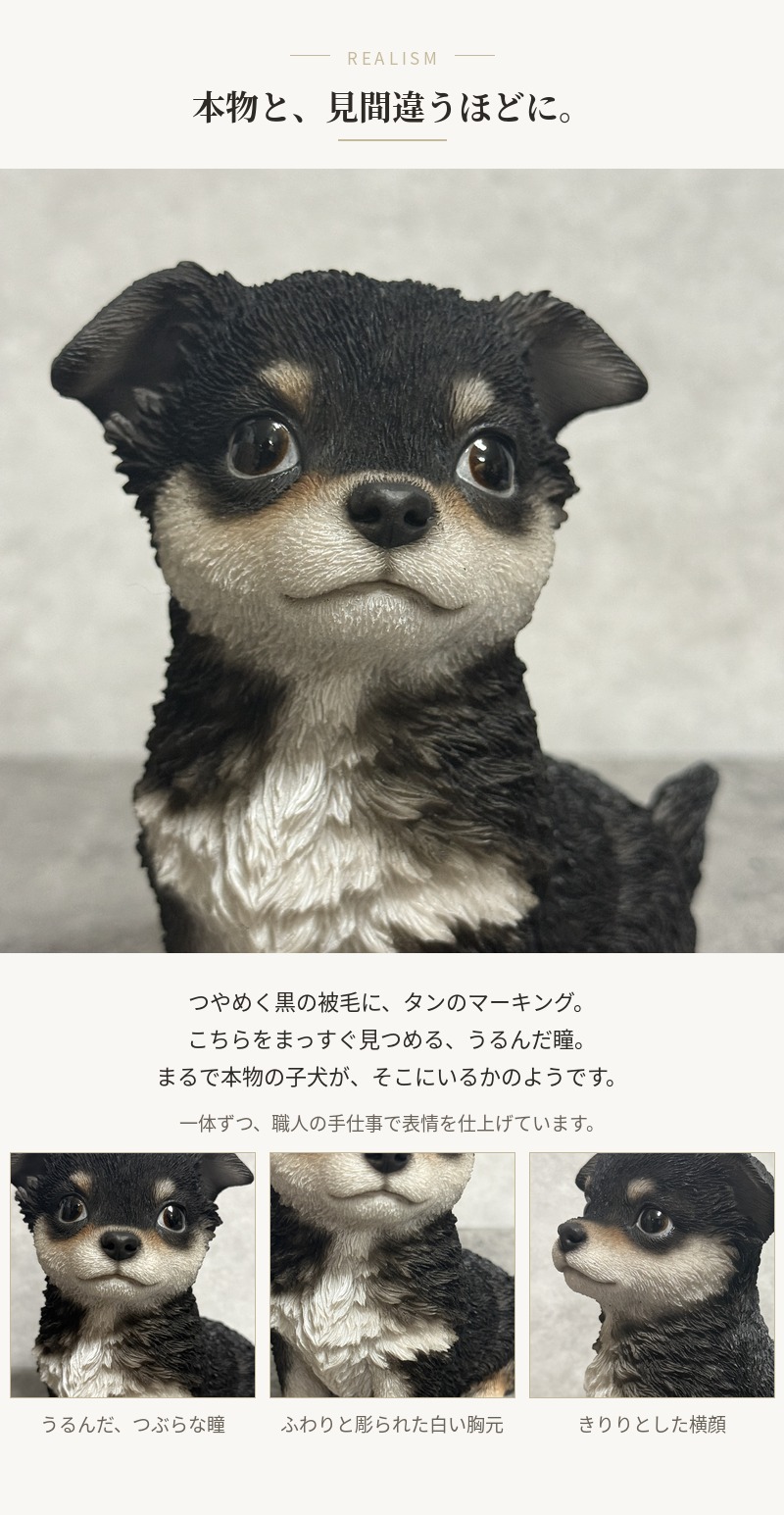 WOOBIA（ウービア） 置物 犬 お座りチワワ 黒 高さ14cm woobia リアル