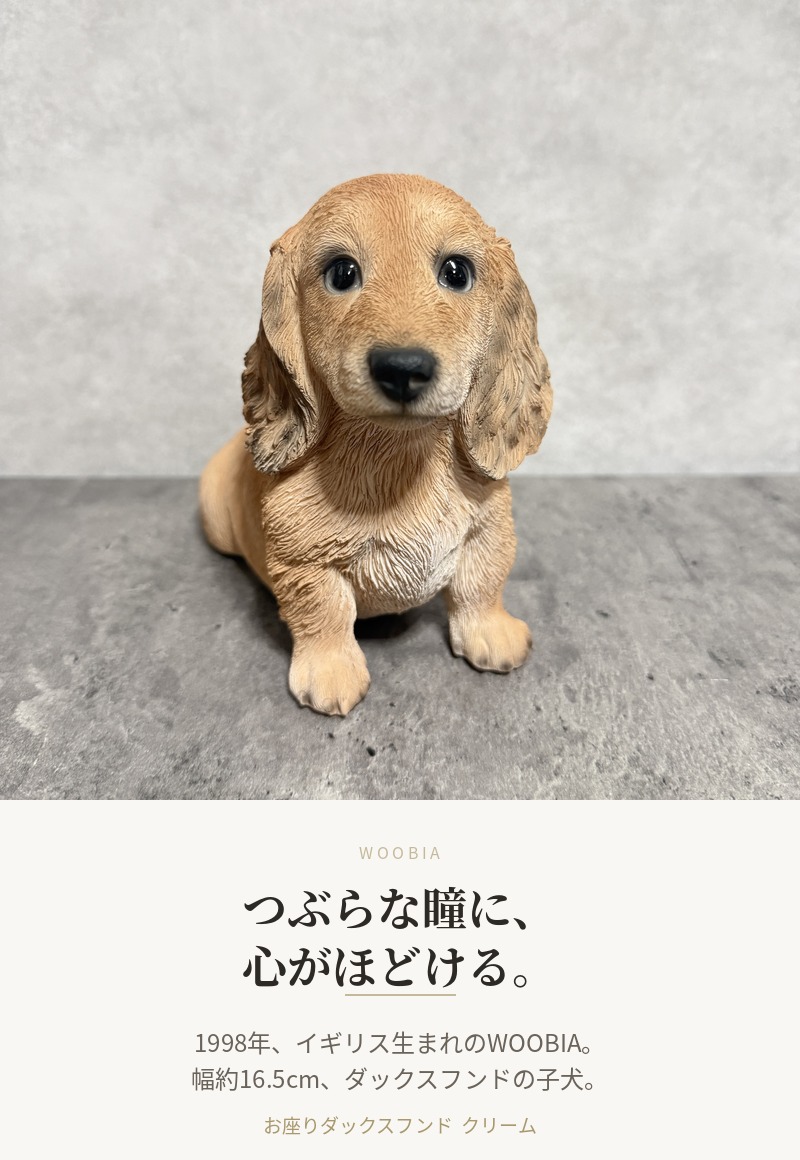 WOOBIA（ウービア） 置物 犬 ダックスフンド クリーム 幅16.5cm woobia