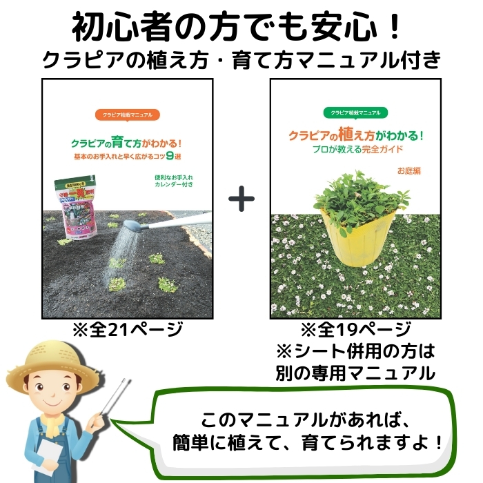 クラピアの植え方・育て方マニュアル