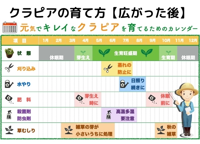 クラピアの肥料の育て方（繁茂後）