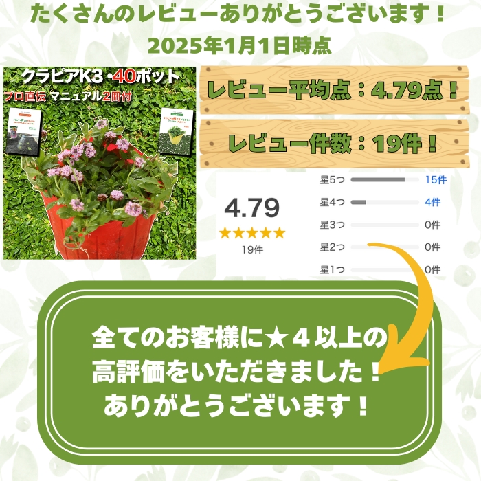 レビュー件数
