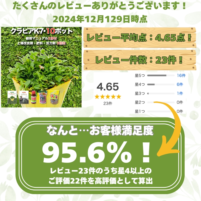 レビュー件数