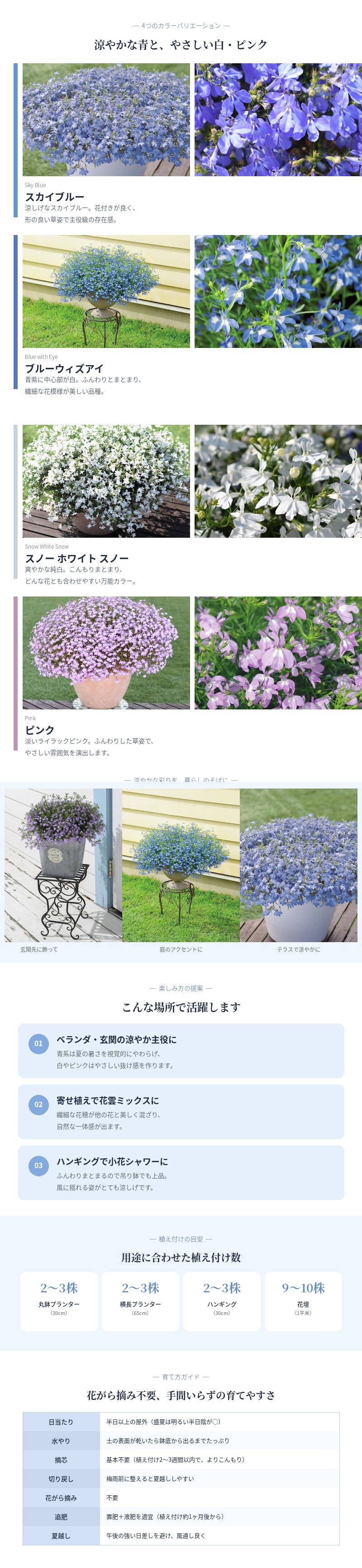 アズーロコンパクト 4品種×各1株セット 肥料付き 3.5号 花苗 青色の花