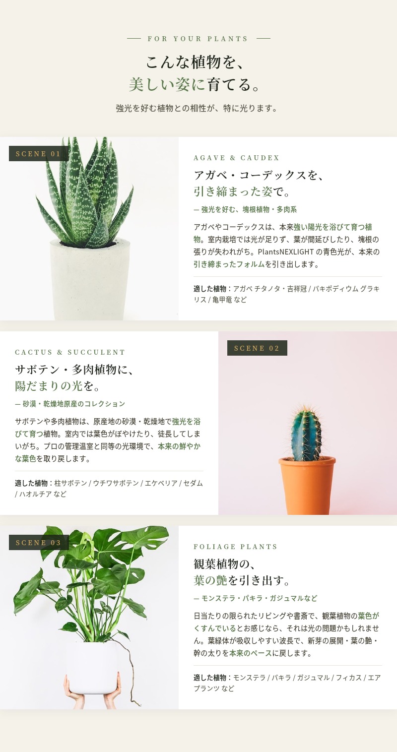植物育成ライト LED PlantsNEXLIGHT NL-PAR30 観葉植物 多肉 塊根 室内